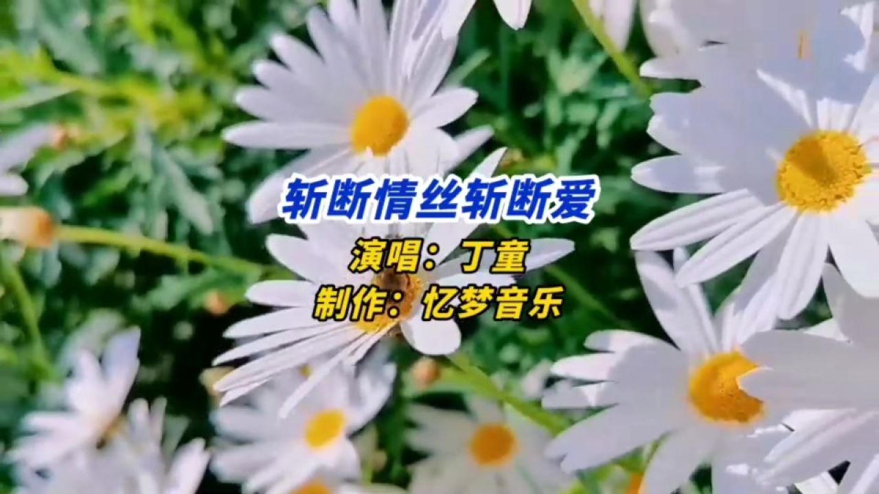 一首《斩断情丝斩断爱》,三千情丝,三生叹,情不断,理还乱