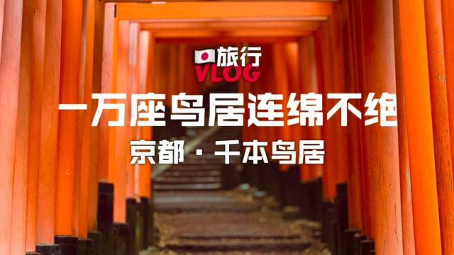 ⛩️京都ⷮŠ千本鸟居:一万座鸟居立于山林中⛩️