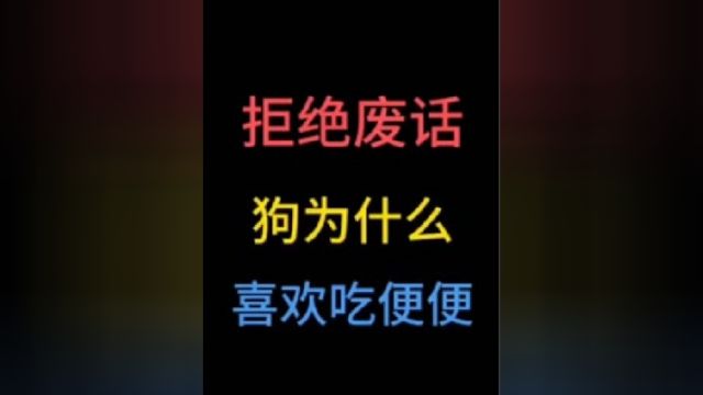 狗为什么喜欢吃便便?