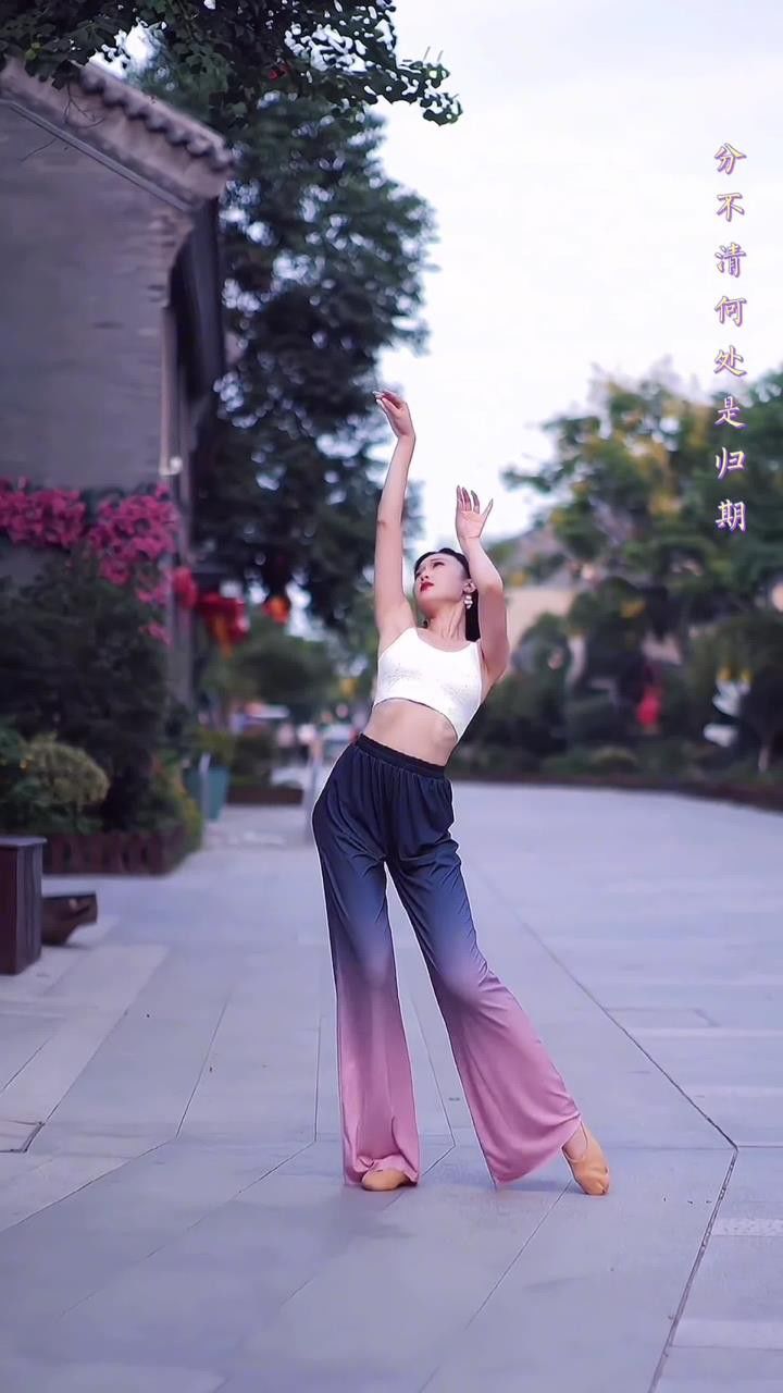 分享一段简单好看的中国古典舞#古典舞#来跳舞#零基础古典舞#梅香如故