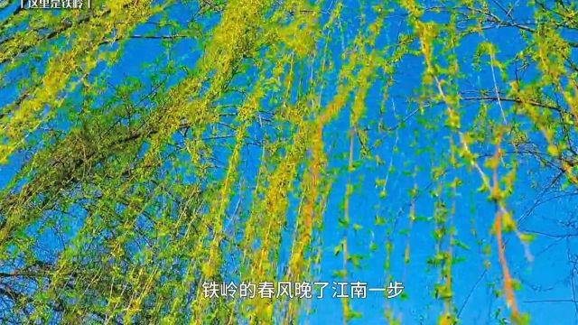 这里是铁岭 | 寻梦铁岭的天空之镜