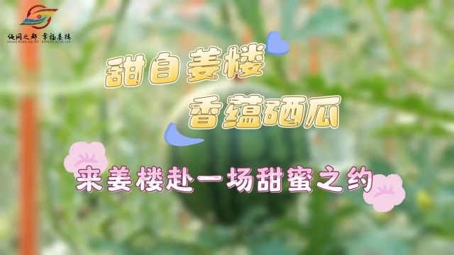 甜自姜楼、香蕴硒瓜,来惠民县姜楼镇赴一场甜蜜之约吧!