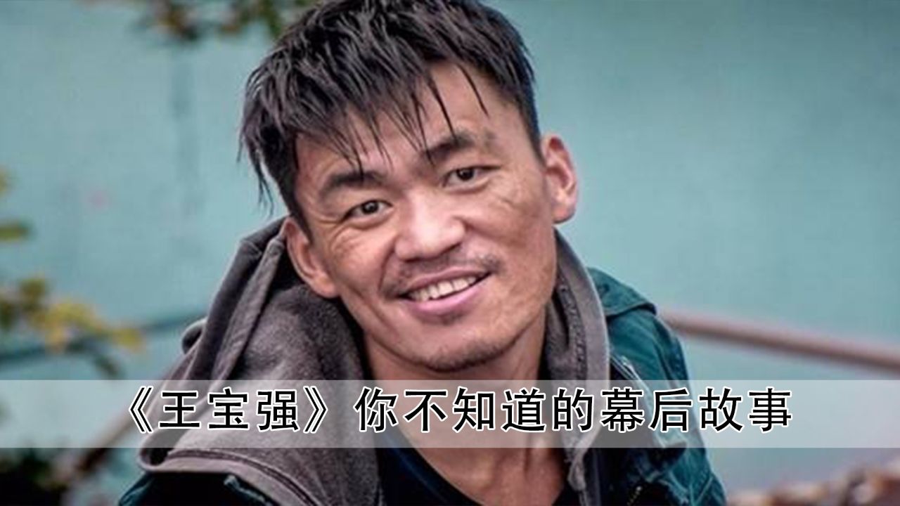 一个人的武林:导演让王宝强来演个反派,可他差点将甄子丹给打死