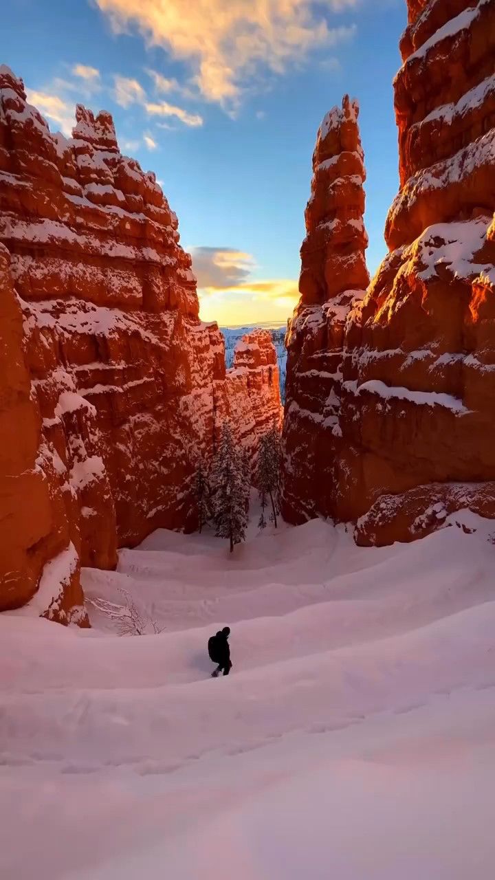 日出时白雪覆盖的布莱斯峡谷