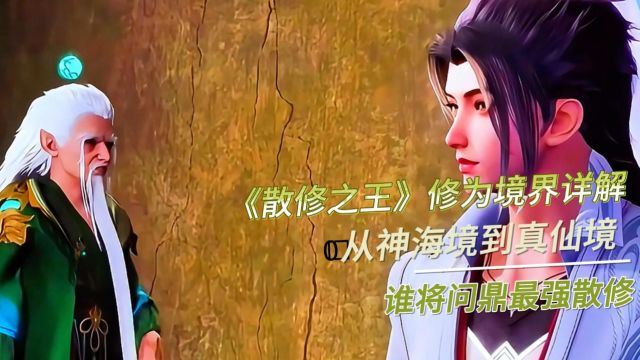 《散修之王》修为境界详解:从神海境到真仙境,谁将问鼎最强散修?