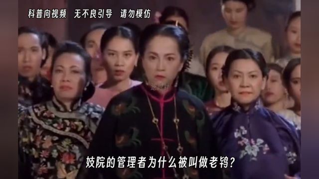 古代妓院的管理者为啥被叫做老鸨?