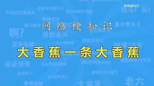 你知道吗?网络热梗合辑。_不是哥们是什么梗?不是一响,哥们登场【网络梗知识】_综艺_高清完整版视频在线观看_腾讯视频
