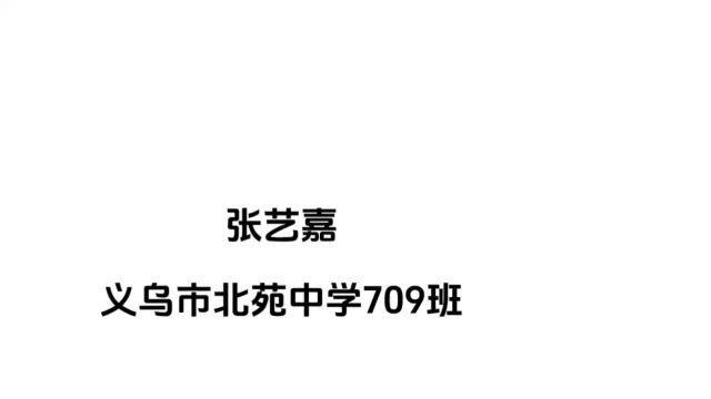 视频:中秋月饼