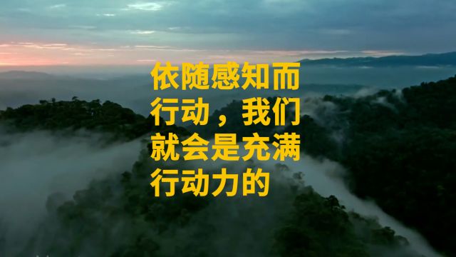 依随感知而行动,我们就会是充满行动力的