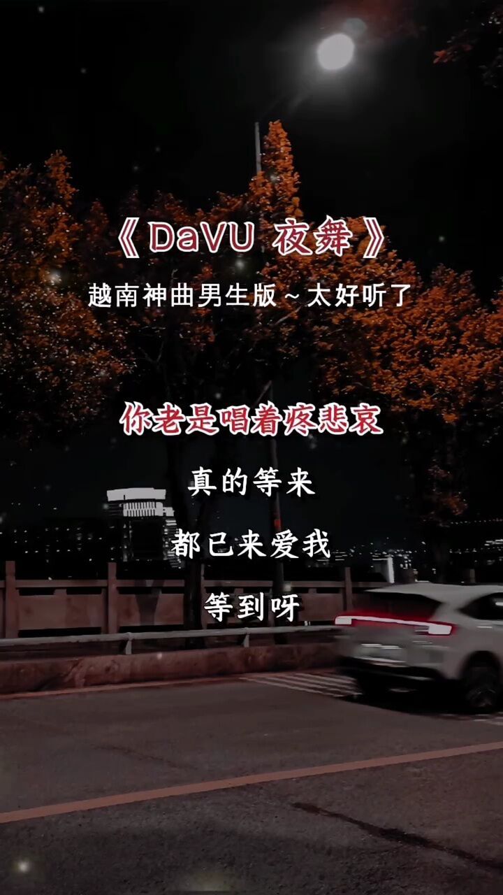 越南音乐才子tangduytan的神曲,陶醉在中毒般的音乐世界里,建议单循环