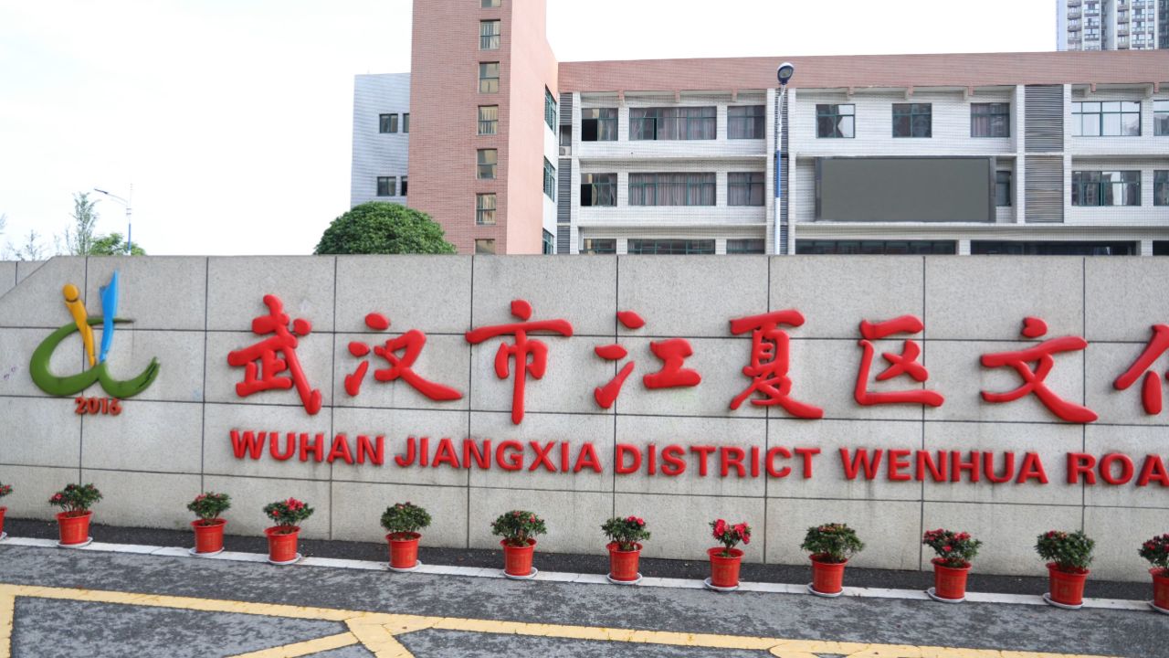 武汉市江夏区文化路小学2024春季研学活动_高清