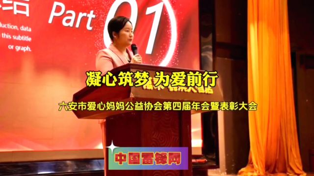 【视频】凝心筑梦,为爱前行:六安市爱心妈妈公益协会年会暨表章大会