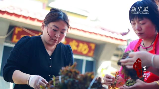 千城百县看中国丨河北迁西:“椿”意盎然 助农增收