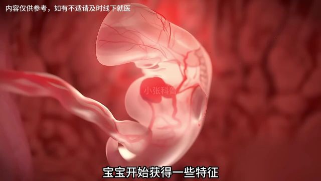 胎儿在母体发育的过程是一个复杂的生物学过程