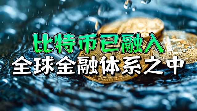 比特币取代传统银行体系!全球资本流动格局中的新力量!