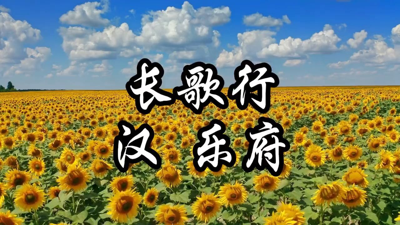 《小学生》必背古诗:27,长歌行