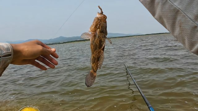 野钓:钓鱼的乐趣只有钓鱼人懂,又是美好的一天