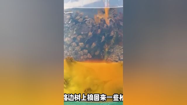 小伙从树上摘些松果,搭配环氧树脂做成工艺品台灯,通电后太美了#手工制作#创意手工#树脂工艺品#台灯#手工艺