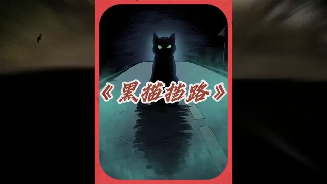 黑猫挡路必有缘故 #灵异故事,胆小勿入