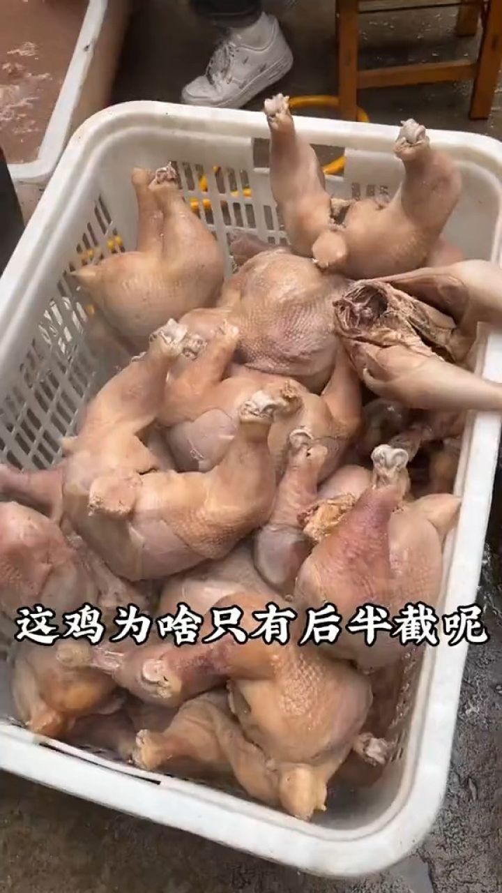 透板鸡图片