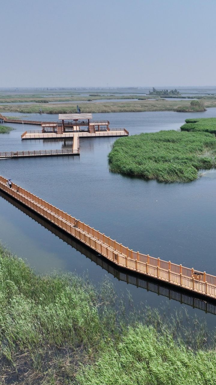 美丽中国丨"华北明珠"白洋淀初夏风光旖旎