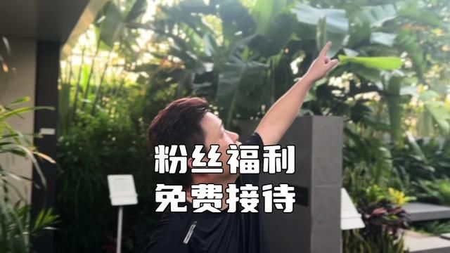 海南买房福利: 海口江东别墅美女老总,亲自接待,送酒店入住!#海南房产 #海口别墅 #海南别墅