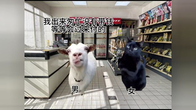 猫meme便利店兼职之卖酒的趣事