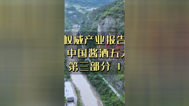 权威产业报告出炉 问道2024中国酱酒五大新发展趋势 31