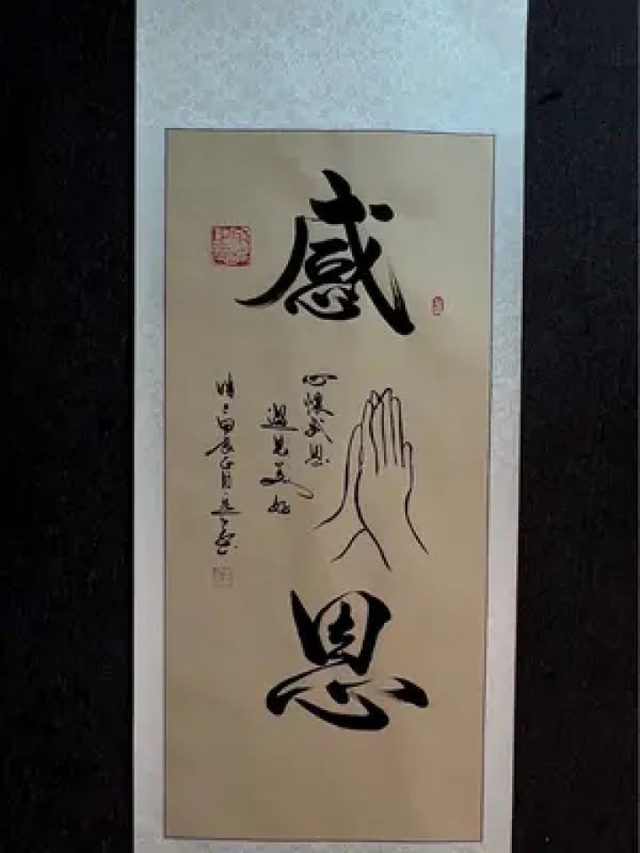 心怀感恩 遇见美好#感恩#余意书法 #见字如面