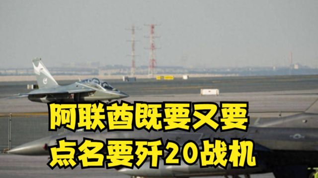 阿联酋财大气粗既要又要,点名要歼20战机,是在“去美化”?