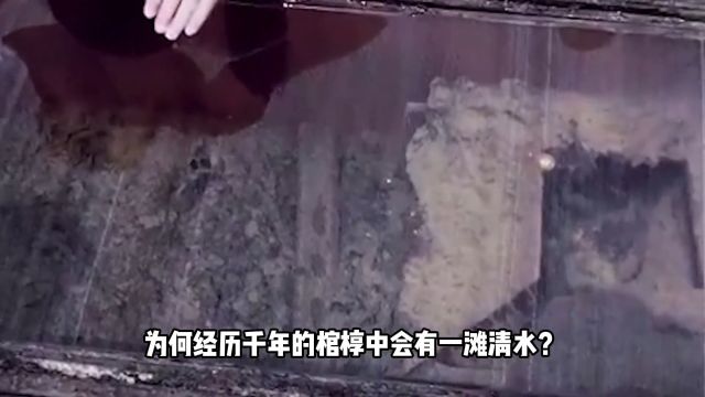 墓主人口含龙珠置身于清水之中,棺中惊现金龙玉席?墓主人究竟是何身份?1