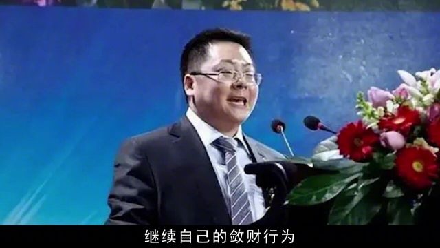 诈骗700亿将公司当后宫,缅北建立私人武装,丁宁凭什么这么狂?