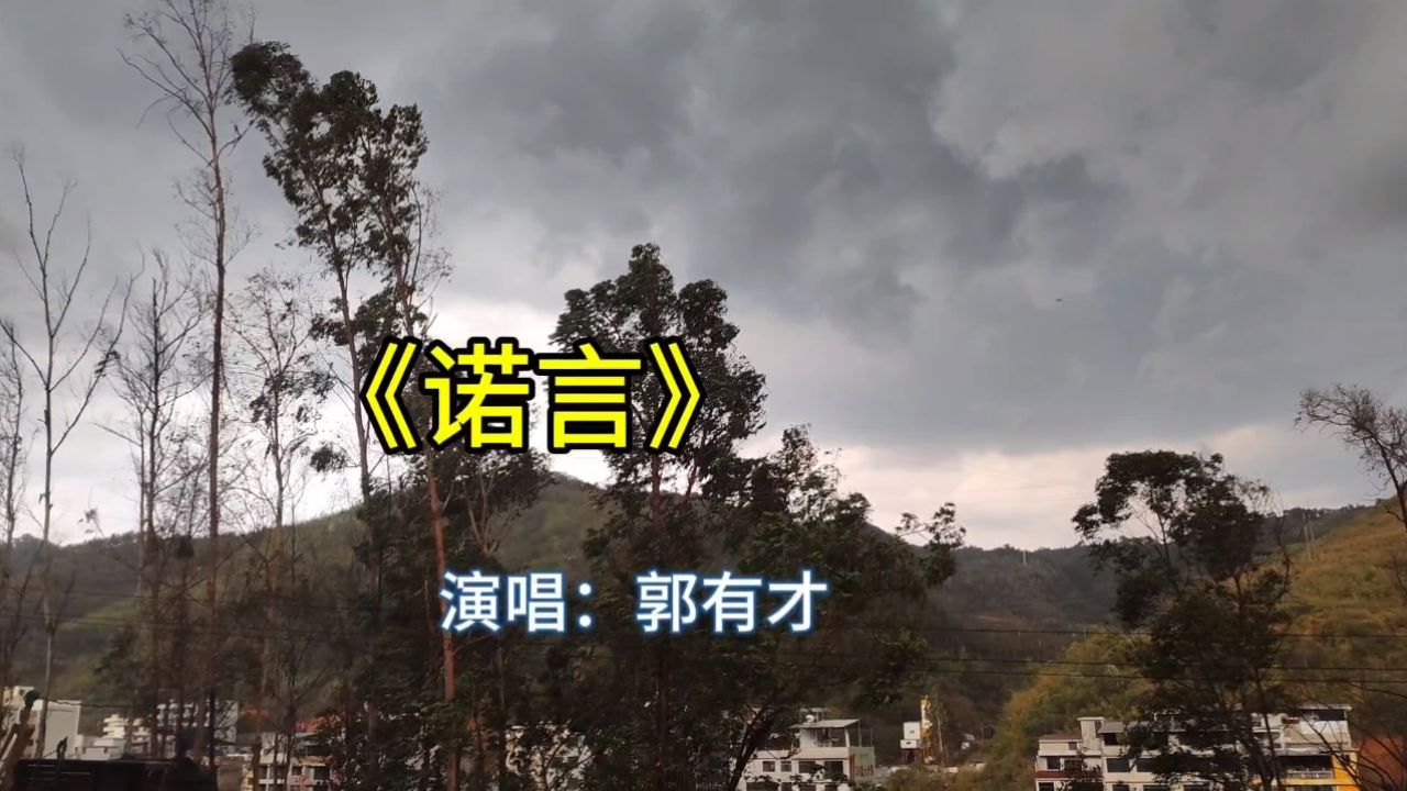 歌曲《诺言》,爱情的苦谁吃谁知道98