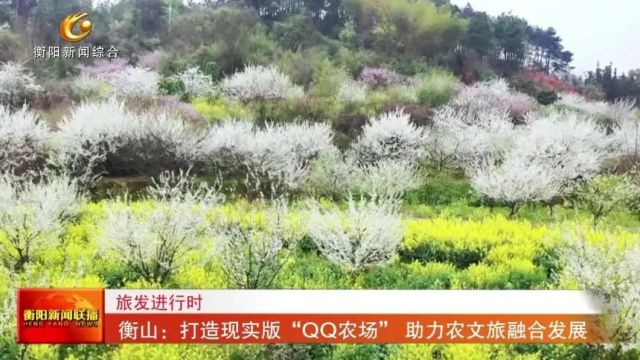 旅发进行时 衡山:打造现实版“QQ农场” 助力农文旅融合发展