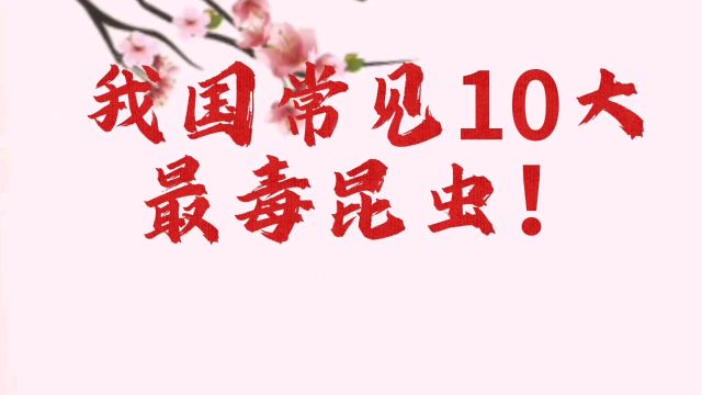 我国常见10大,最毒昆虫!