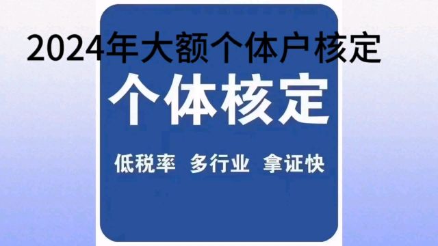 2024年大额个体户核定