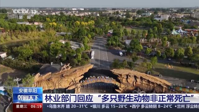 “动物园20只东北虎死亡” 安徽阜阳林业部门通报涉事动物园情况→