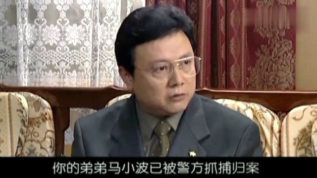 龙年档案:市委书记被调查,女秘书停职,好市长接管天州主要工作