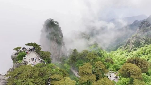 【大黄山365】美景无需想象 黄山就在眼前