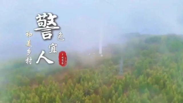 三农头条 | 夏县:乡村梯田 丰收画卷