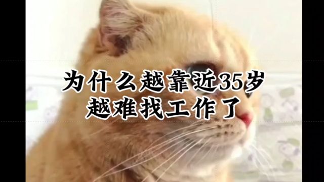 为什么越靠近35岁越难找工作了