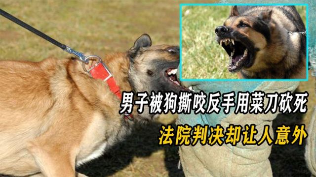 男子被恶犬撕咬,一怒之下用菜刀砍死疯狗,法院判决让人意外