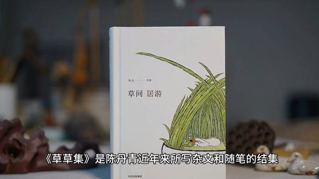 文学笔触里的陈丹青:他如何描述艺术与人生《草草集》