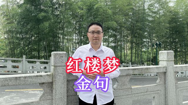 你看过《红楼梦》吗?《红楼梦》中的10个金句,句句入心字字情深