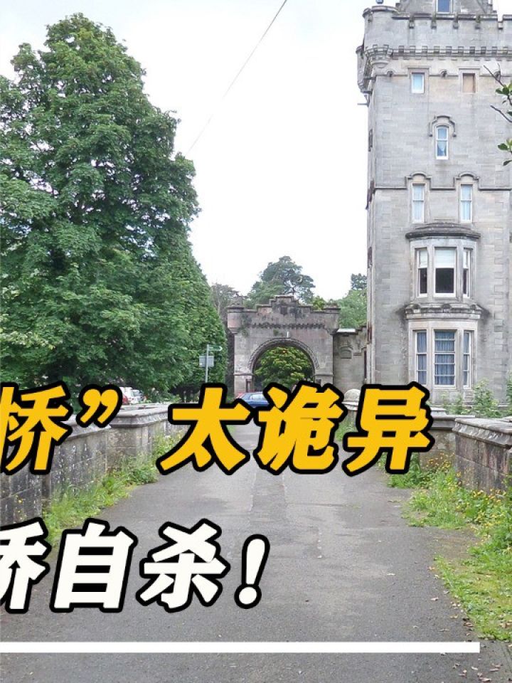 英国"丧命桥"太诡异,超过600条狗跳桥自杀!水中怪物搞的鬼?