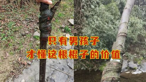 只有男孩子才懂这根棍子的价值!网友:就这棍子,我愿意出20万买_高清1080P在线观看平台_腾讯视频
