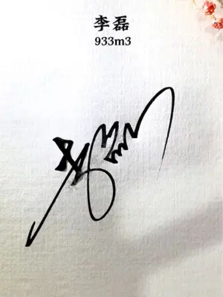 一笔写完自己的签名 李磊,数字签933m3,这样签名简单好学,你要设计吗?