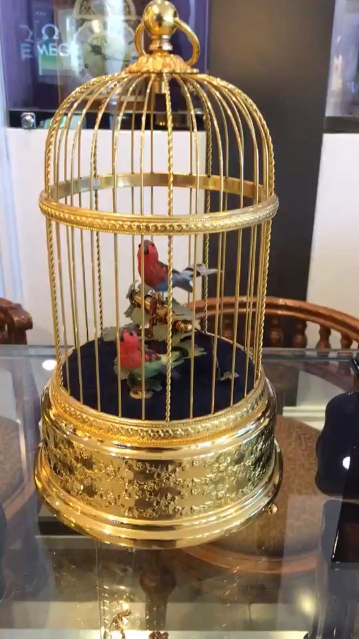 笼中鸟,鸟音笼. 感谢滨子友情提供