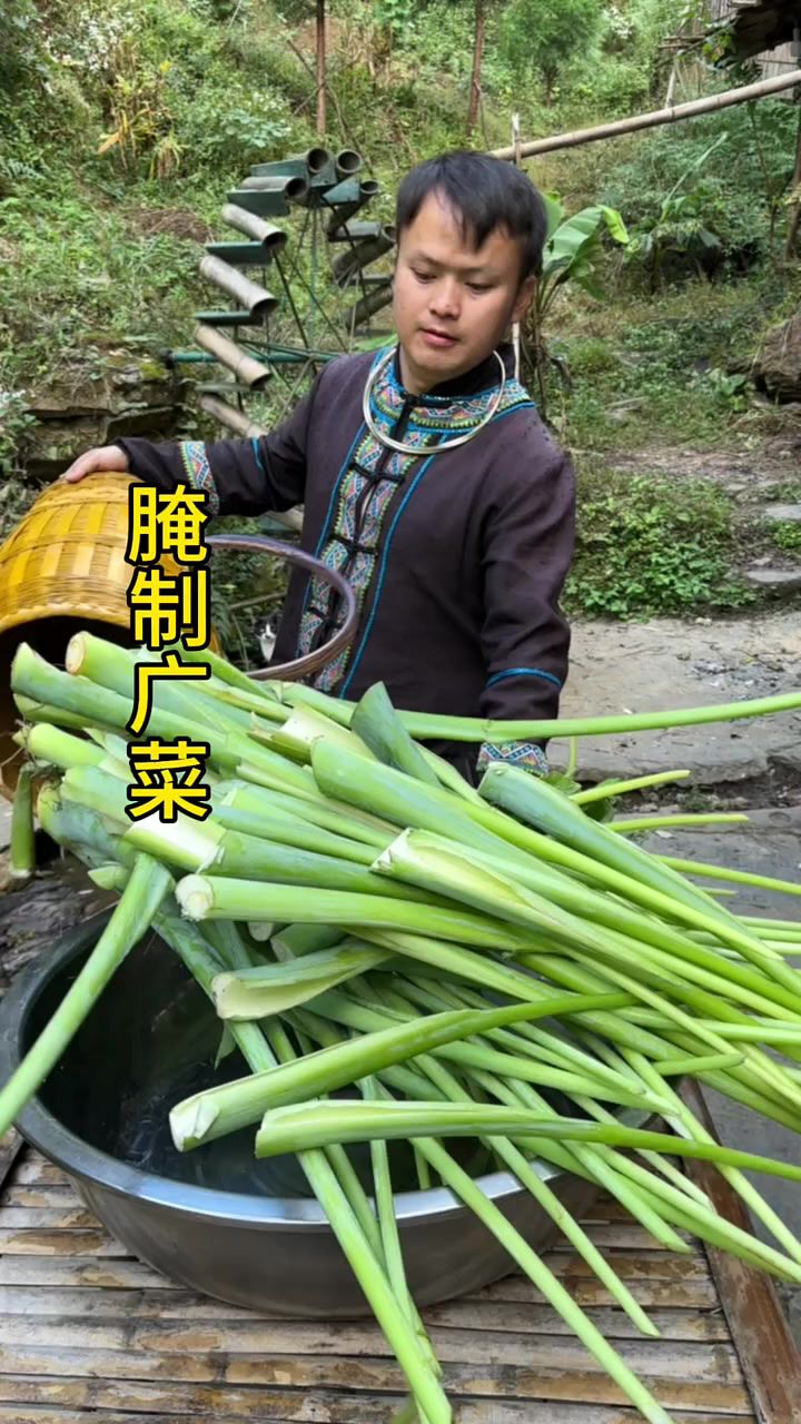 广菜不知道北方有没有哟