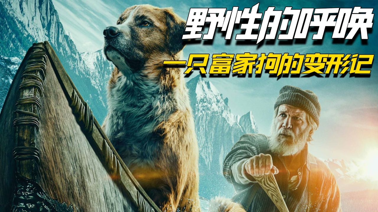 一口气看完《野性的呼唤》